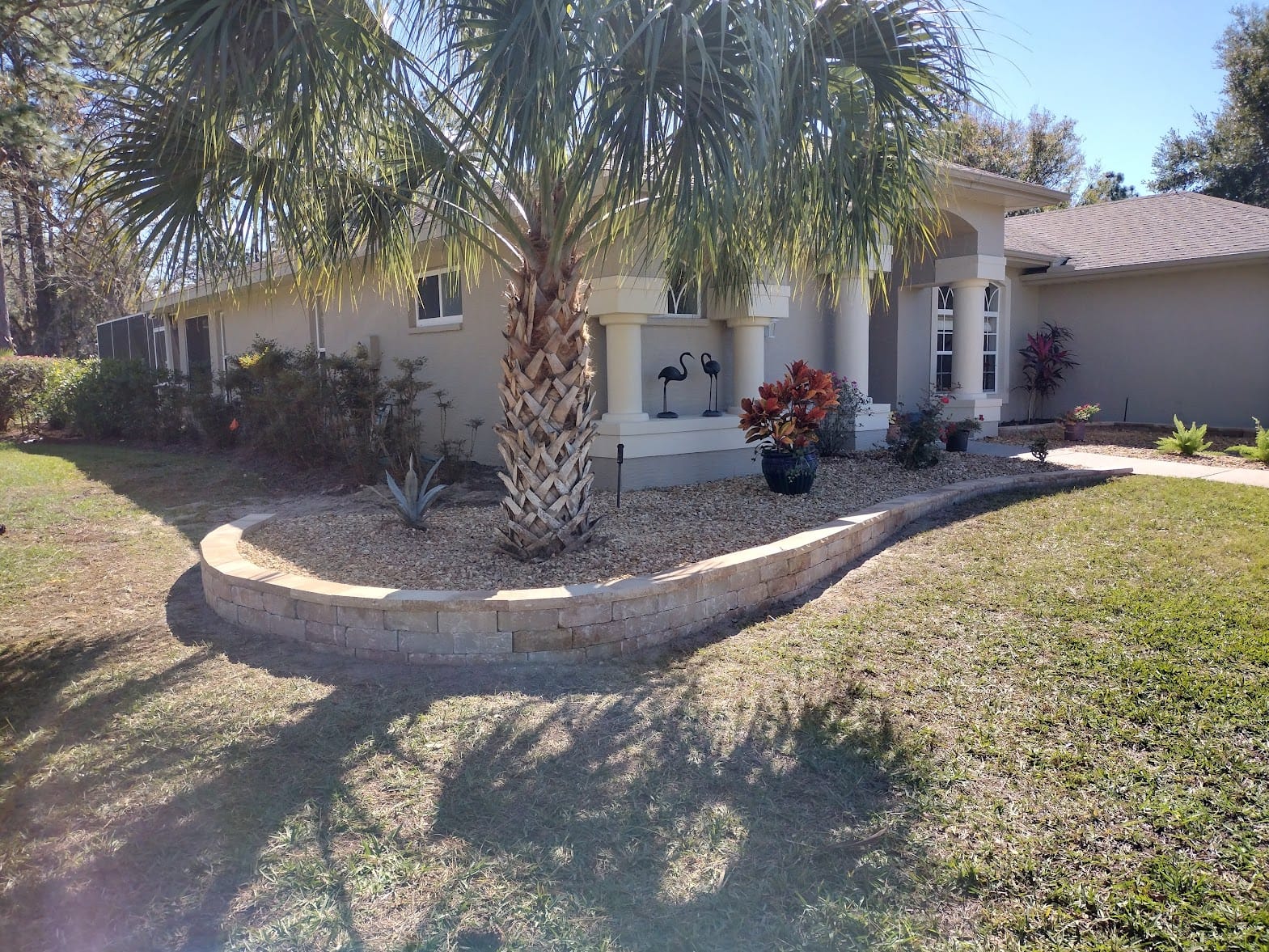 Paver wall for plant garden bed with palm tree