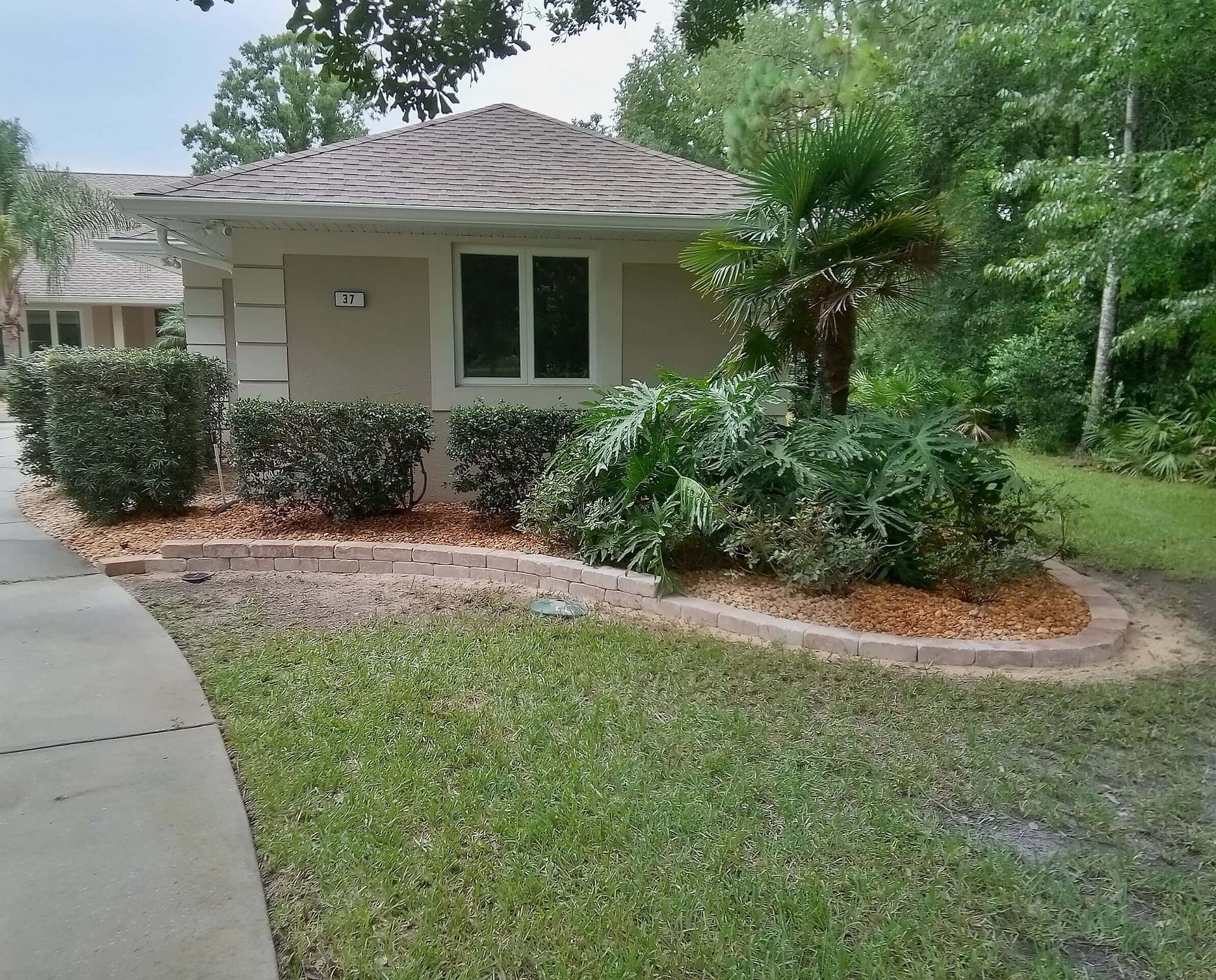 Paver wall from driveway to backyard for sago palm tree